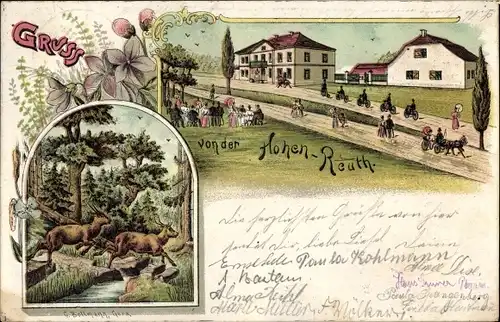 Litho Münchenbernsdorf in Thüringen, Hohe Reuth, Hirsche