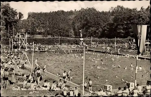 Ak Kayna Zeitz an der Weißen Elster im Burgenlandkreis, Blick in das Waldbad