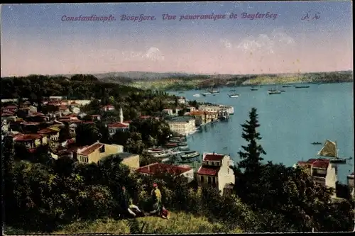 Ak Konstantinopel Istanbul Türkei, Vue panoramique de Beylerbey