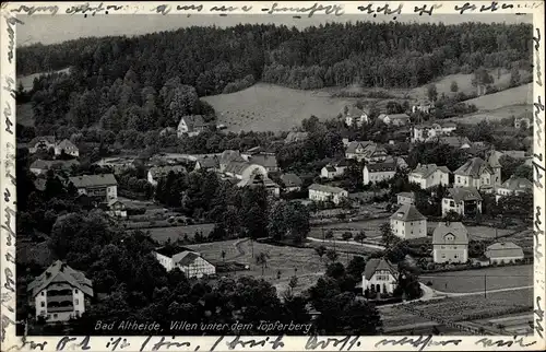 Ak Polanica Zdrój Bad Altheide Schlesien, Villen unter dem Töpferberg