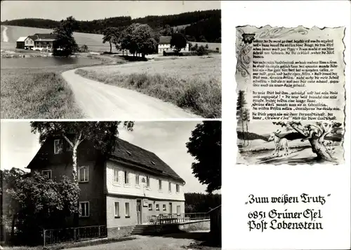 Ak Schönbrunn Ebersdorf in Thüringen, Grüner Esel, Gasthaus Zum weißen Trutz