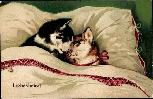 Präge Litho Liebesheirat, Katzenpaar im Bett