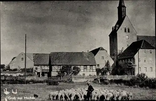 Ak Mochau Döbeln in Sachsen, Schäfer mit Herde, Fachwerkhaus, Kirchturm