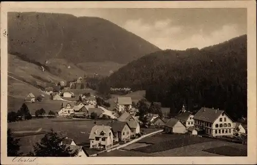 Ak Obertal Baiersbronn im Schwarzwald, Panorama