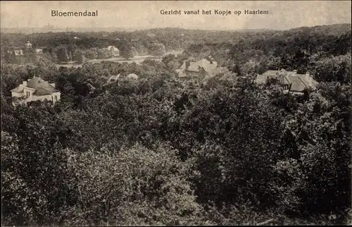 Ak Bloemendaal Nordholland Niederlande, Gezicht vanaf het Kopje op Haarlem