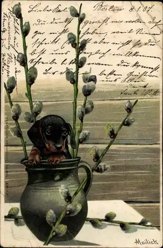 Künstler Ak Mailick, junger Dackel in einem Krug, Weidenkätzchenzweige