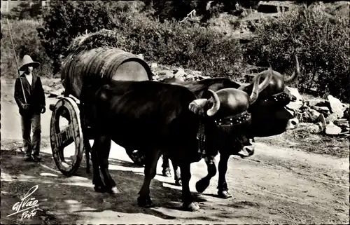 Ak Alto Duro Portugal, O carro de bois