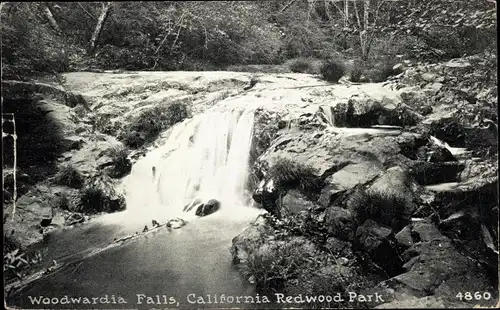 Ak Redwood City Kalifornien USA, Woodwardia Falls, Park