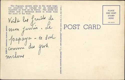 Ak Florida USA, eine Papaya-Plantage