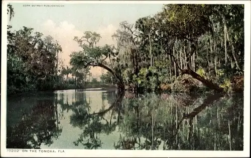 Ak Florida USA, on the Tomoka