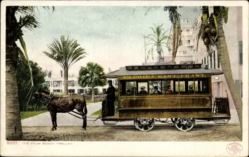 Ak Palm Beach Florida USA, the Palm Beach Trolley, Pferdewagen