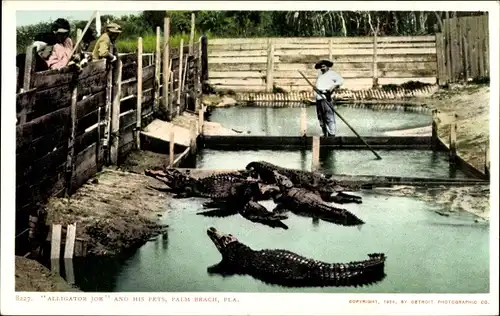 Ak Palm Beach Florida USA, Alligator Joe and his pets