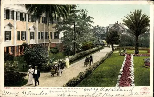 Ak Palm Beach Florida USA, walk and gardens, the Royal Poinciana