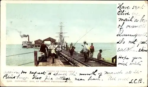 Ak Tampa Florida USA, Fishing on the pier