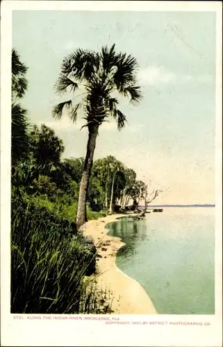 Ak Rockledge Florida USA, along the Indian River