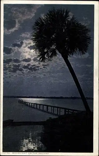 Ak Florida, Moonlight on the Halifax