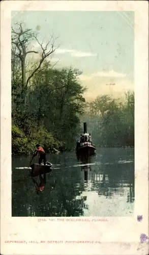 Ak Florida, on the Ocklawaha
