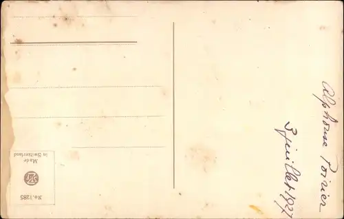 Künstler Ak Klein, Catharina, Papagei, Ara