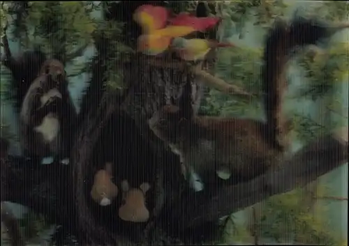 3 D Ak Eichhörnchen und Vögel auf einem Baum