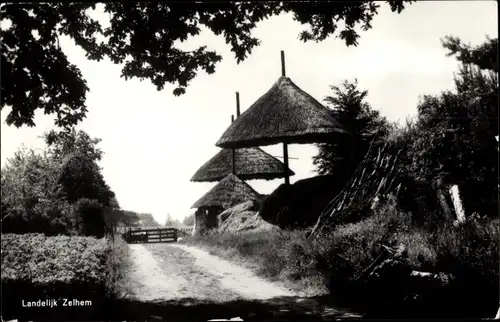 Ak Zelhem Gelderland Niederlande, Landelijk