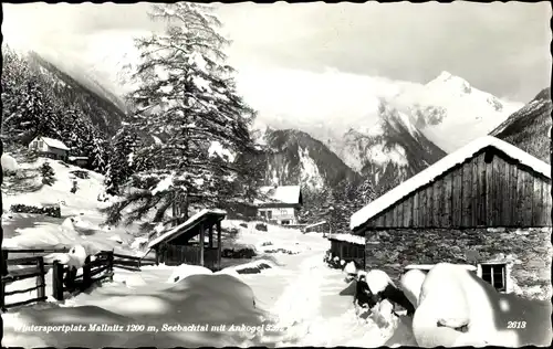 Ak Mallnitz in Kärnten, Winteransicht, Seebachtal, Ankogel