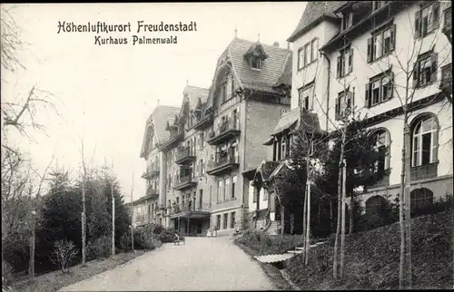 Ak Freudenstadt im Schwarzwald, Kurhaus Palmenwald