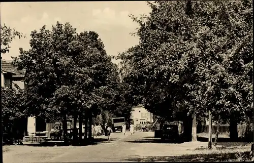 Ak Kolberg in der Mark, Dorfeingang, Passanten, Allee