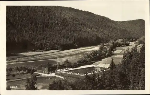 Ak Leutenberg Thür., Bad im Ilmtal, Wald