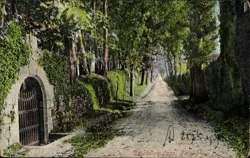 Ak Jersey Kanalinseln, Vinchelez Lane