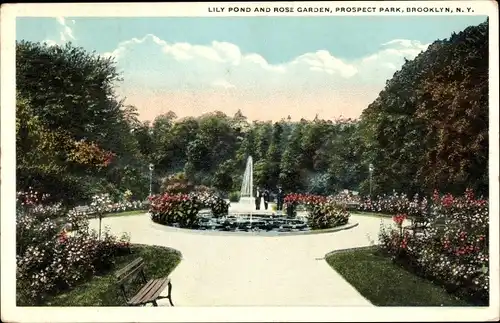 Ak Brooklyn New York City USA, Seerosenteich und Rosengarten, Prospect Park