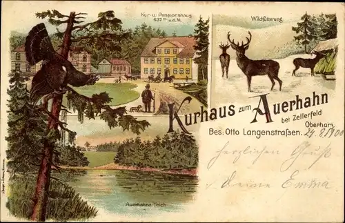 Litho Clausthal Zellerfeld im Oberharz, Kurhaus zum Auerhahn, Wildfütterung, Teich