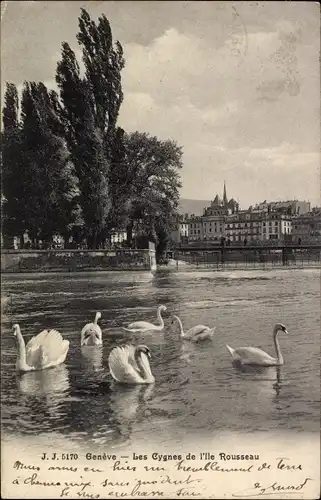Postkarte Genf Genf Schweiz, Les Cygnes de l&#39;ile Rousseau, Schwäne