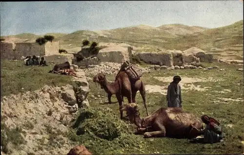 Ak Fellachendorf Israel, Native Village, Kamele, Berge