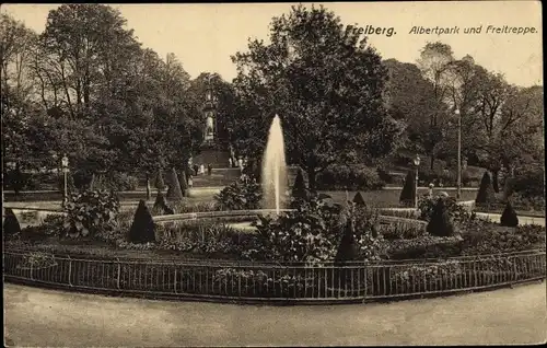 Ak Freiberg in Sachsen, Albertpark, Freitreppe