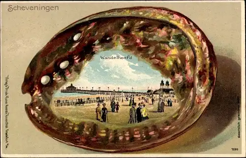 Muschel Litho Scheveningen Den Haag Südholland, Wandelhoofd