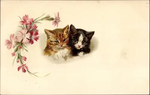 Litho Zwei junge Katzen, Nelken