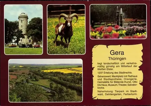 Ak Gera in Thüringen, Ferberturm, Tierpark, Mufflon, Dahliengarten, Weiße Elster