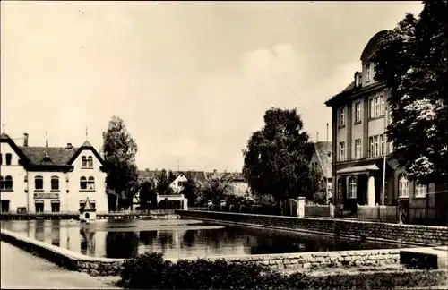 Ak Neustadt an der Orla, Gamsenteich, Entenhaus