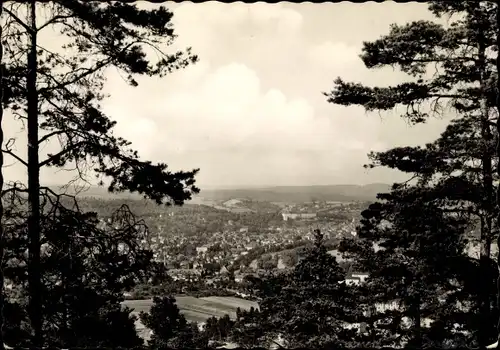 Ak Rudolstadt in Thüringen, Panorama