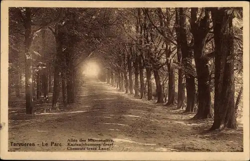 Ak Tervuren Tervueren Flämisch Brabant Flandern