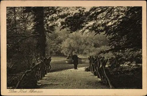 Ak Alkmaar Nordholland Niederlande, Den Hout