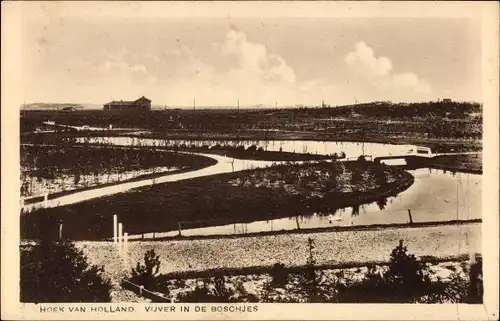 Ak Hoek van Holland Rotterdam Südholland Niederlande, Vijver in de Boschjes