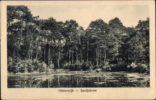 Ak Oisterwijk Nordbrabant Niederlande, Speijckven