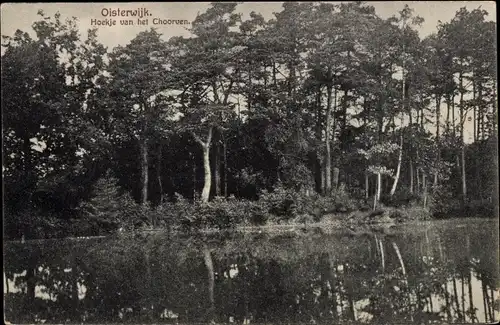 Ak Oisterwijk Nordbrabant Niederlande, Hoekje van het Choorven