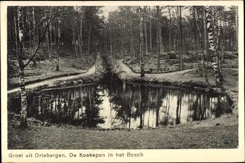 Ak Driebergen Utrecht Niederlande, De Koekepan in het Bosch