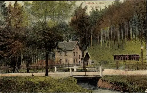 Ak Seesen am Harz, Forsthaus