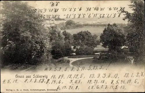 Ak Schleswig an der Schlei, Partie im Park