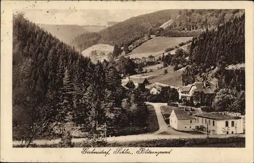 Ak Sokołowsko Görbersdorf Schlesien, Blitzengrund