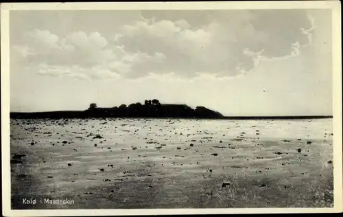 Ak Insel Kalø Kalö Dänemark i Maaneskin