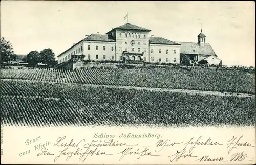 Ak Johannisberg Geisenheim am Rhein Hessen, Schloss, Weinberge